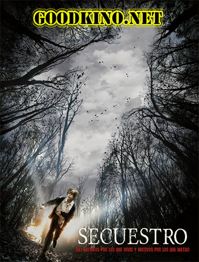 Похищение (2016)