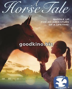 Рождественское обещание (2016)