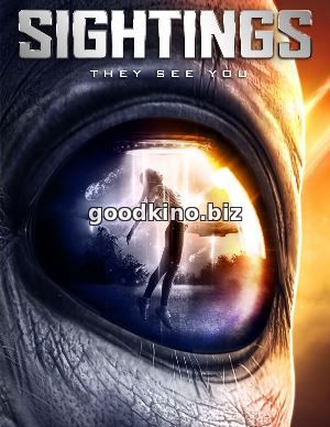 Наблюдения / Sightings (2017)