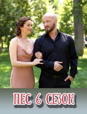 Пес 6 сезон
