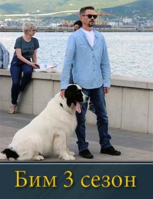 Бим-3 Сезон
