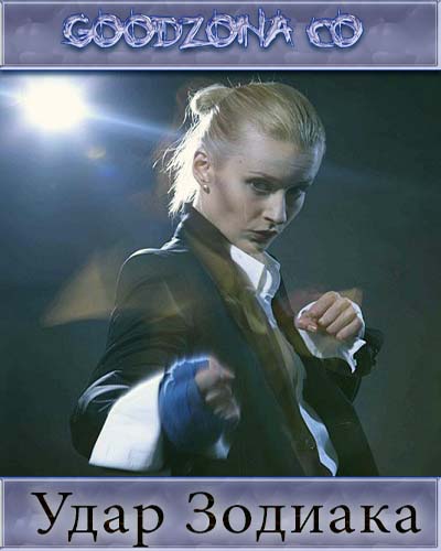 Удар Зодиака (2015)