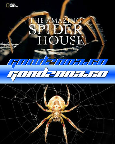 Дом пауков (2015)