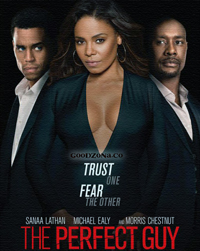 Идеальный парень (2015)